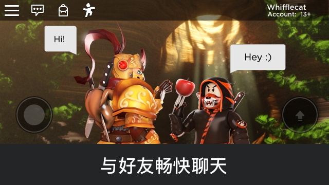 罗布乐思国际服.jpg