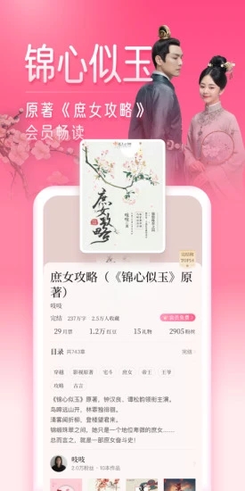 红袖读书