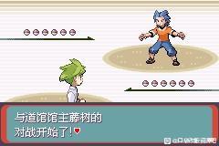 口袋妖怪满充的逆袭金手指