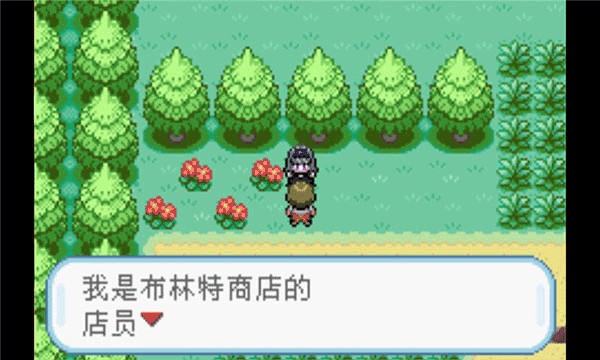 口袋妖怪火红叶绿金手指.jpg