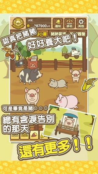养猪场MIX无限金币
