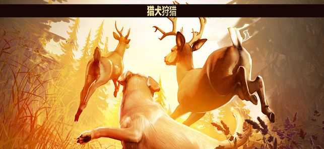 猎鹿人2014无限金币