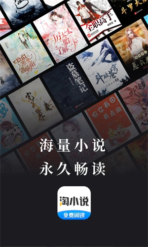 淘小说免弹窗版.jpg