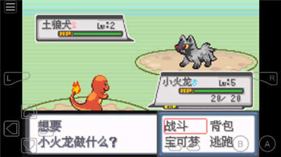 口袋妖怪白金光金手指