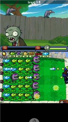 植物大战僵尸Ds版
