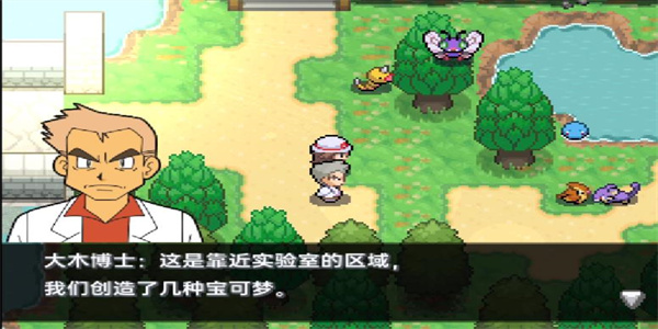 口袋妖怪堕落5.4内置作弊版.jpg