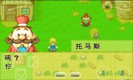 牧场物语无限金币金手指.jpg