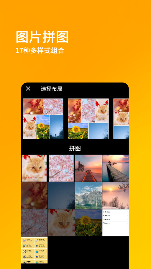 刷圈王