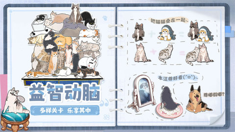 挤在一起的猫猫.jpg